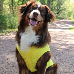 Packable Raincoat (Color: yellow, size: X-Small)